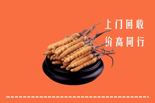 高价求购：潮州市回收散虫草