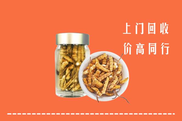 潮州市回收冬虫夏草